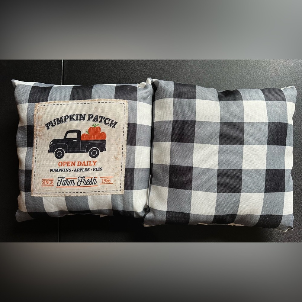 2 Farmhouse Pumpkin Patch Throw Pillows Fall Halloween Thanksgiving 13”x…